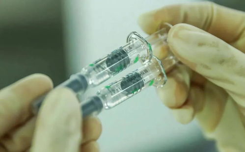 北京芯詣解讀 新冠病毒持續變異，你最關心的五大問題都在這里